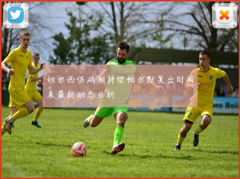 切尔西伤病潮持续帕尔默复出时间表最新动态分析